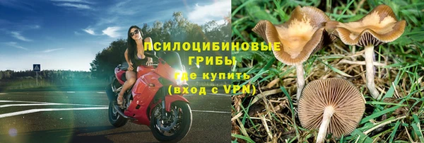 бошки Абаза