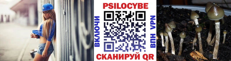 Псилоцибиновые грибы ЛСД  mega сайт  Анжеро-Судженск 